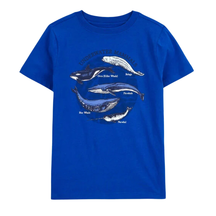 Camiseta underwater mammals