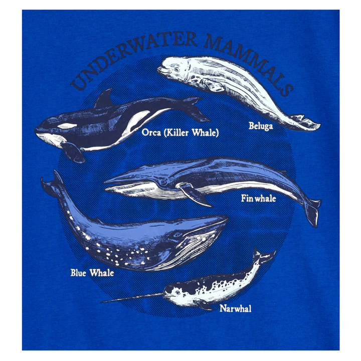 Camiseta underwater mammals